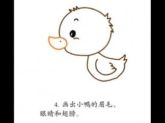 可爱的小鸭子4