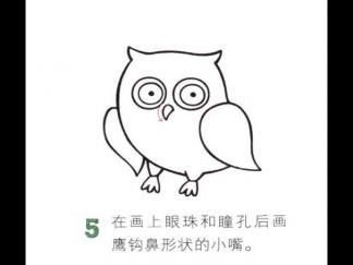 圆溜溜的猫头鹰5