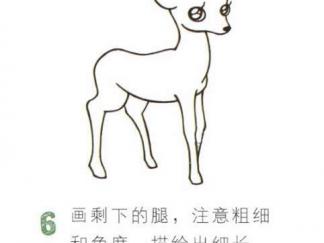 可爱的梅花鹿6