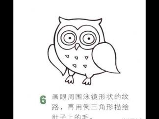 圆溜溜的猫头鹰6