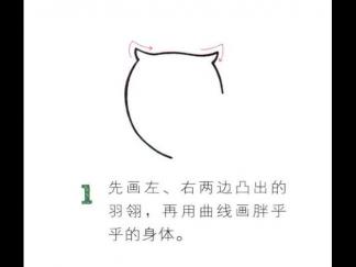 圆溜溜的猫头鹰1