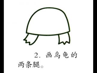 学画乌龟2
