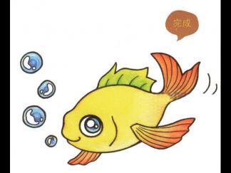 漂亮的金鱼8