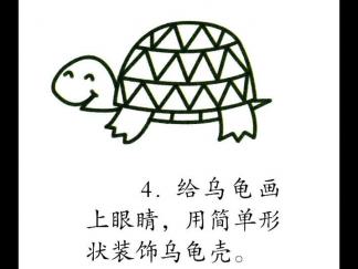 学画乌龟4