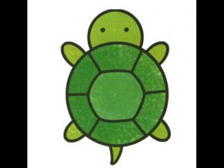 乌龟145