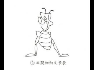 卡通螳螂2