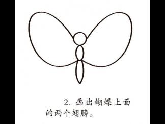 学画花蝴蝶2