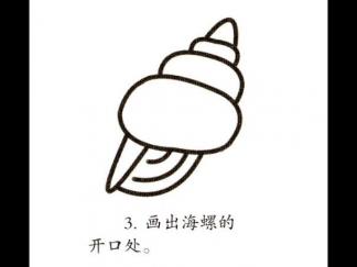 学画海螺3