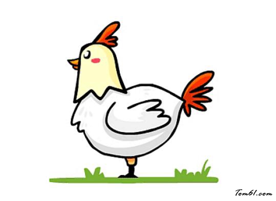 卡通母鸡
