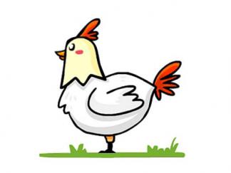 卡通母鸡6