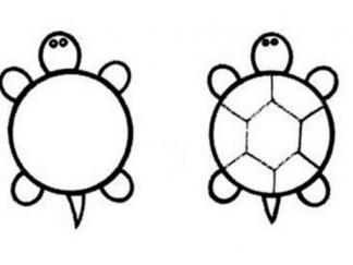 简单的乌龟4