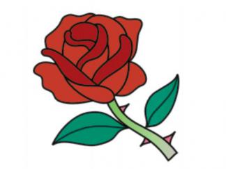 玫瑰花105