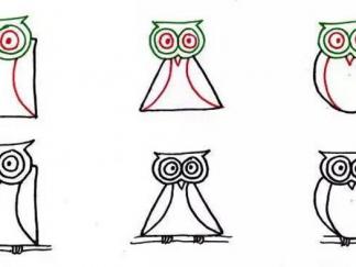 正方形、圆形、三角形的猫头鹰2