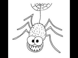 蜘蛛76