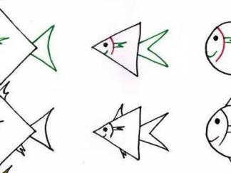 正方形、圆形、三角形的鱼2