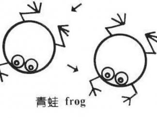 青蛙182