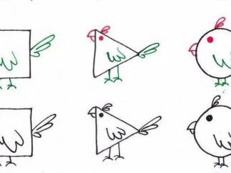 正方形、圆形、三角形的小鸟2