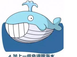 鲸鱼114