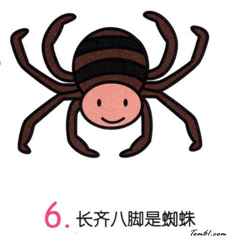 蜘蛛9