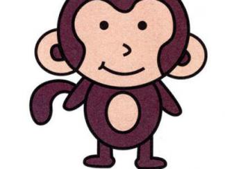 猴子236