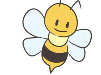 蜜蜂104