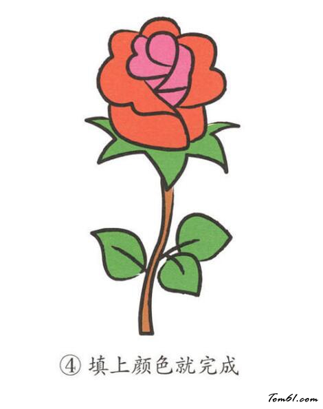玫瑰花11