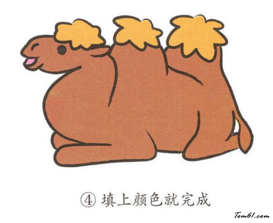 骆驼7