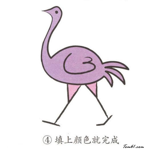 鸵鸟10