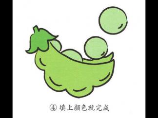 豌豆4