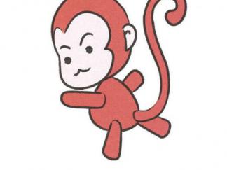 猴子244
