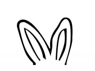 兔子耳朵1