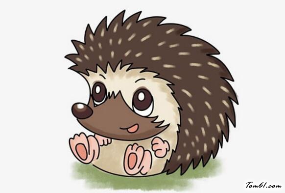 可爱的小刺猬