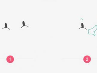 可爱的小鸭子21