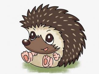 可爱的小刺猬5