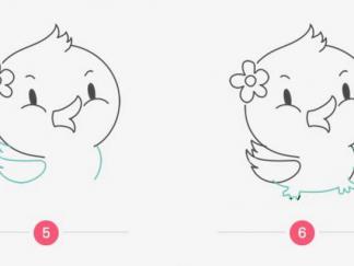 可爱的小鸭子23