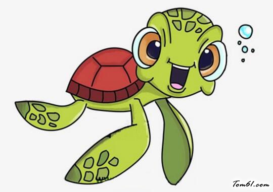 卡通小海龟