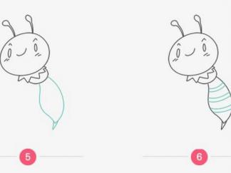 采花蜜的小蜜蜂3