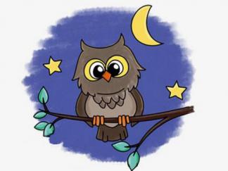 夜晚的猫头鹰5