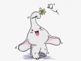 开心的小象5