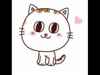 可爱小猫4