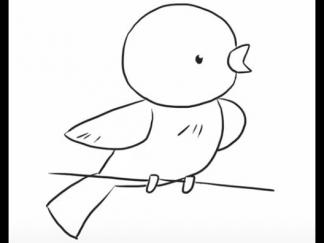 小鸟146