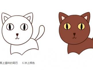猫咪62