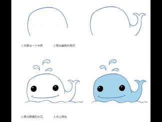 鲨鱼141