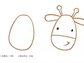长颈鹿171