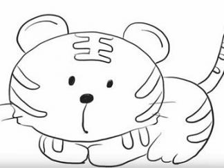 可爱老虎5