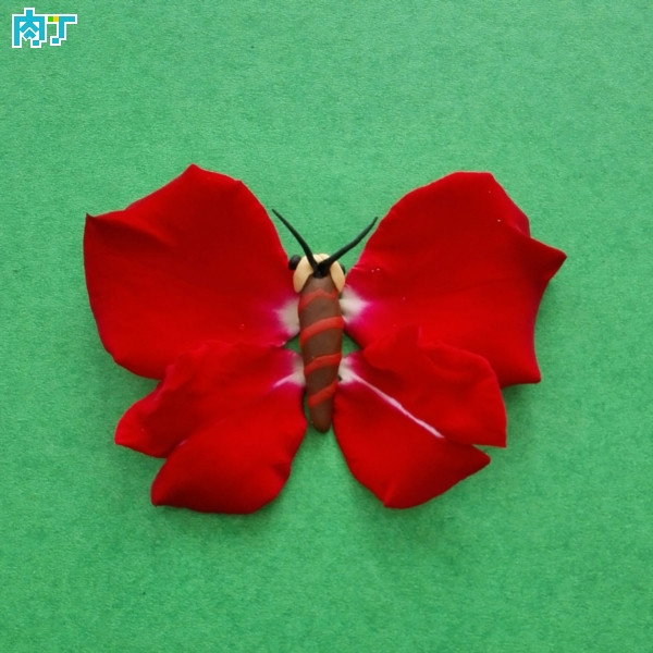 红蝴蝶的彩泥橡皮泥制作教程图解