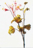 海棠花的彩泥橡皮泥制作教程图解