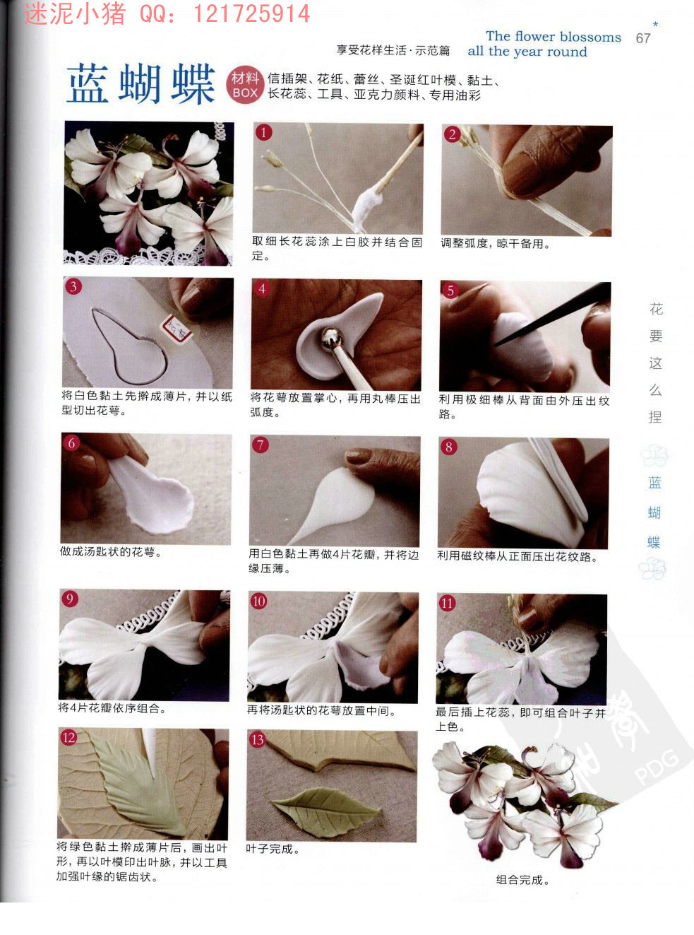 蓝蝴蝶花的制作方法图片1