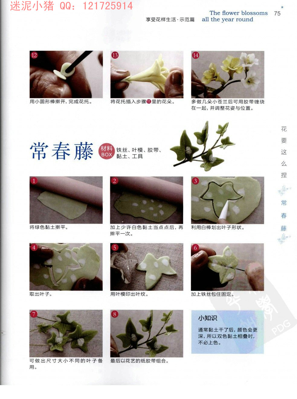 常春藤的制作方法图片1
