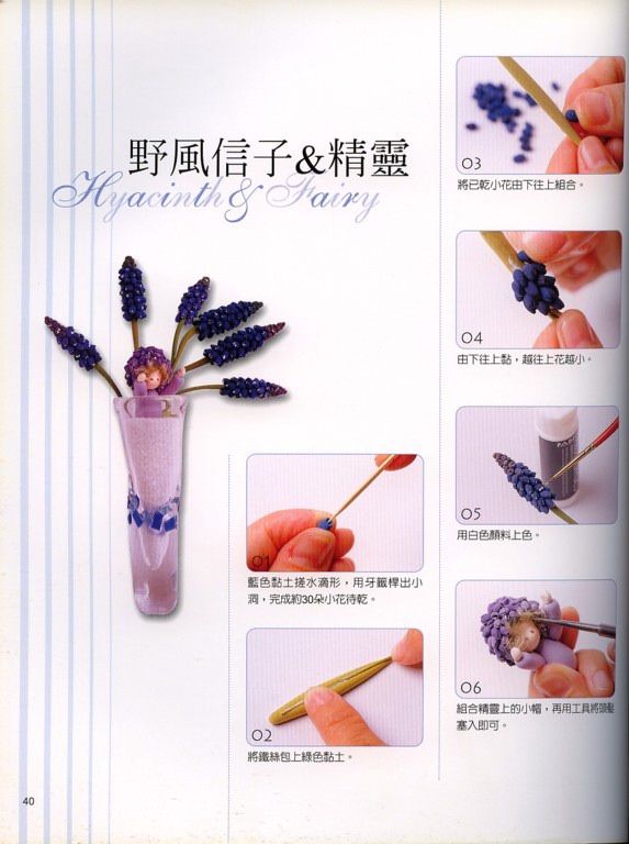 野风信子图片2